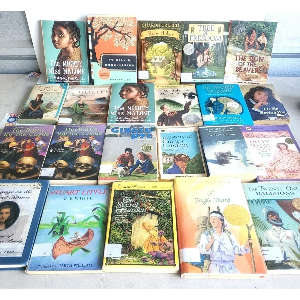 Lot of 22 Books Level 6/7 RL Misc Titles MIX Youth Teacher Library Homeschool‎